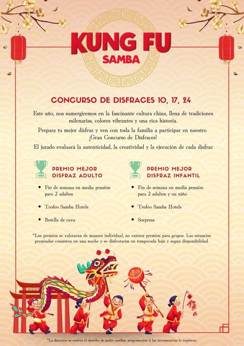 carnaval-2024-kung-fu-samba--3-.jpg
